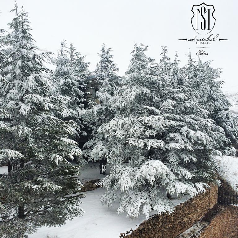 Saint Michel Chalets Al Arz Εξωτερικό φωτογραφία