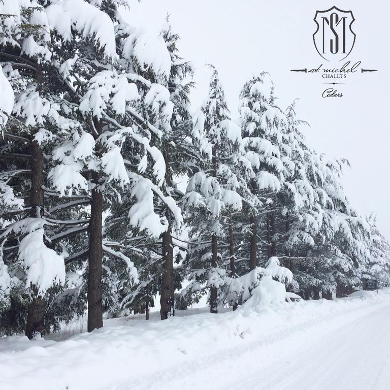 Saint Michel Chalets Al Arz Εξωτερικό φωτογραφία