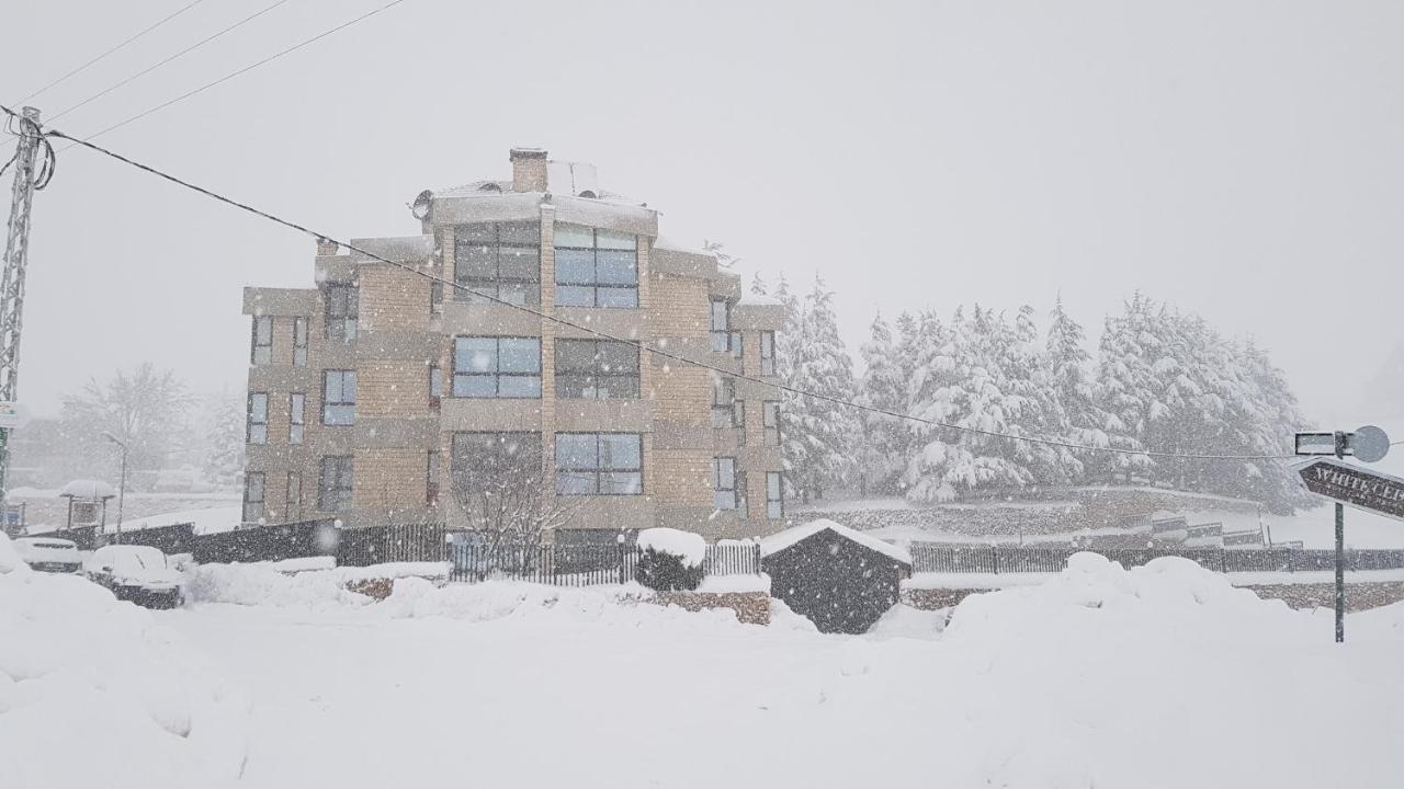 Saint Michel Chalets Al Arz Εξωτερικό φωτογραφία